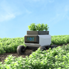 agriculture